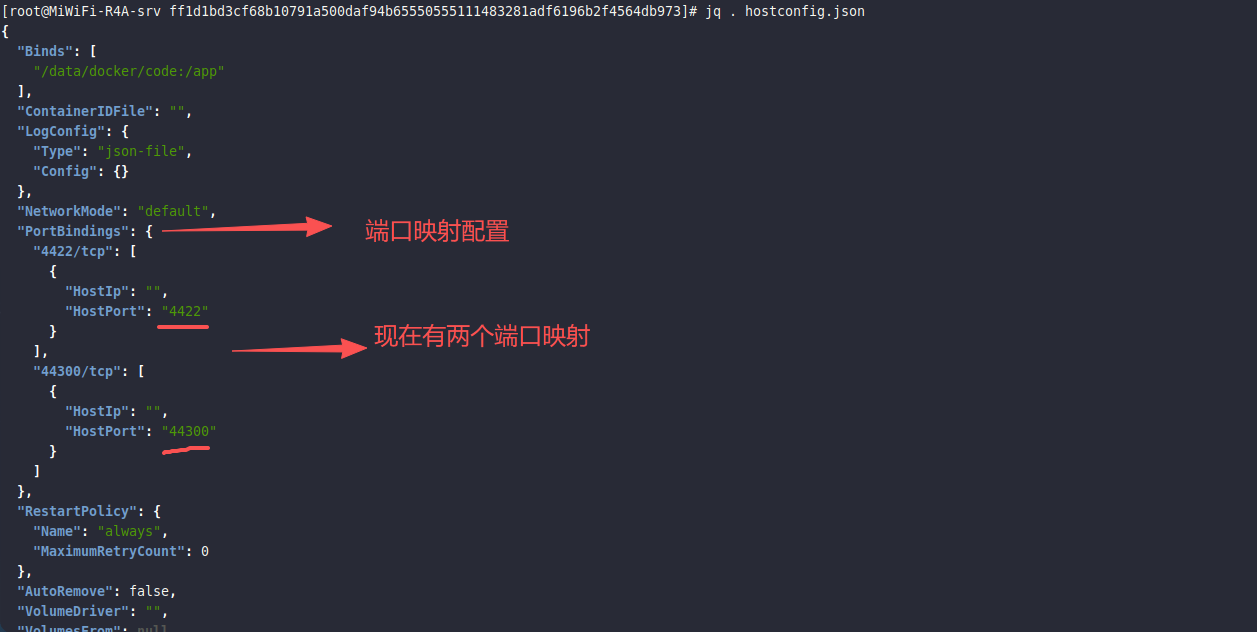 image-20251105095542334